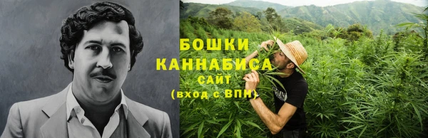 крисы Билибино