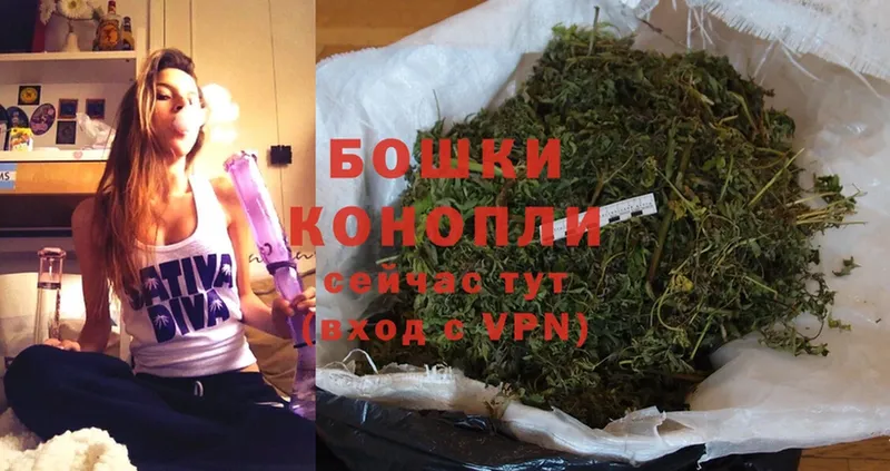 Канабис OG Kush  Дно 